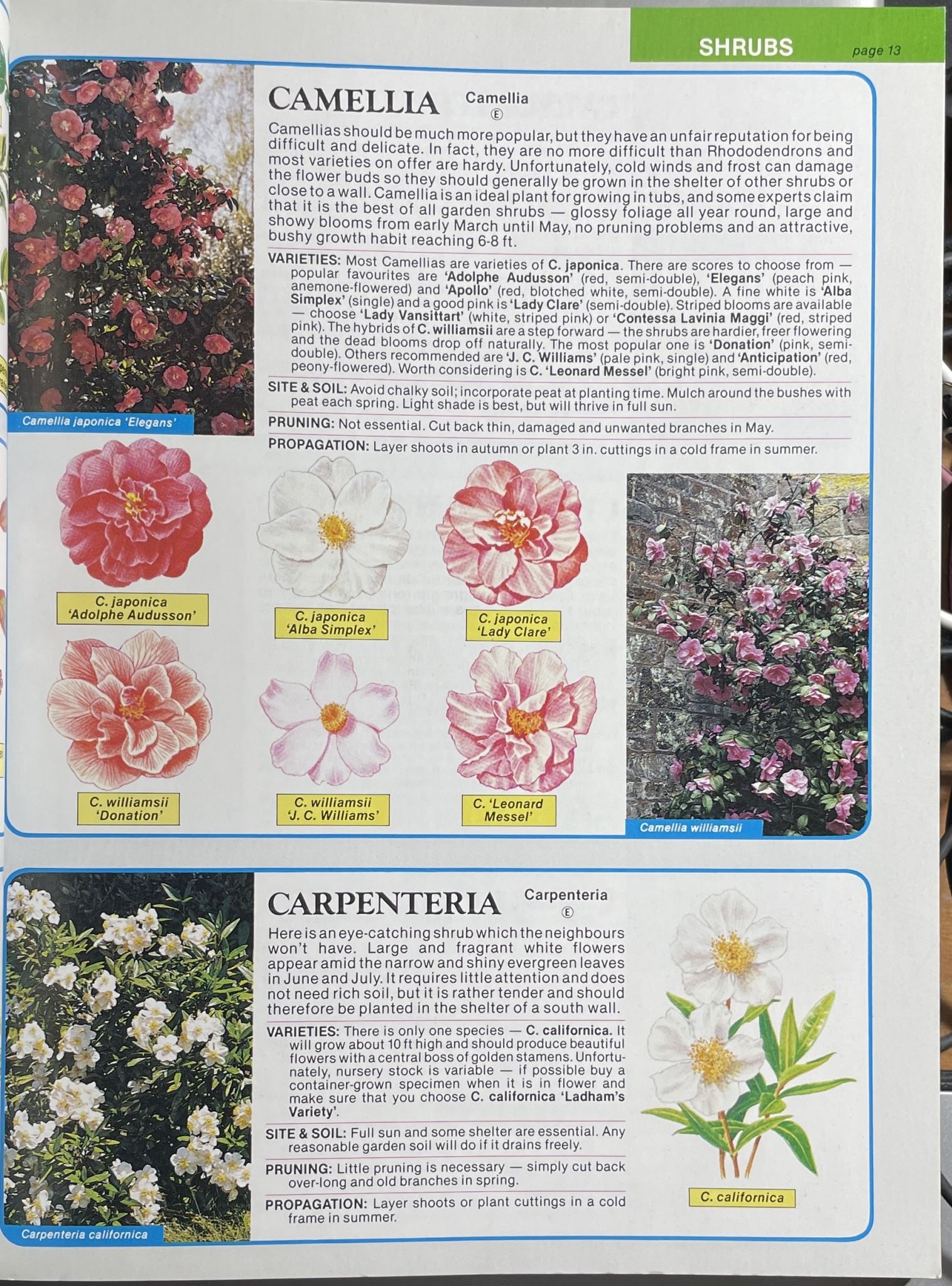The Tree & Shrub Expert world's best-selling book on trees & shrubs Hessayon